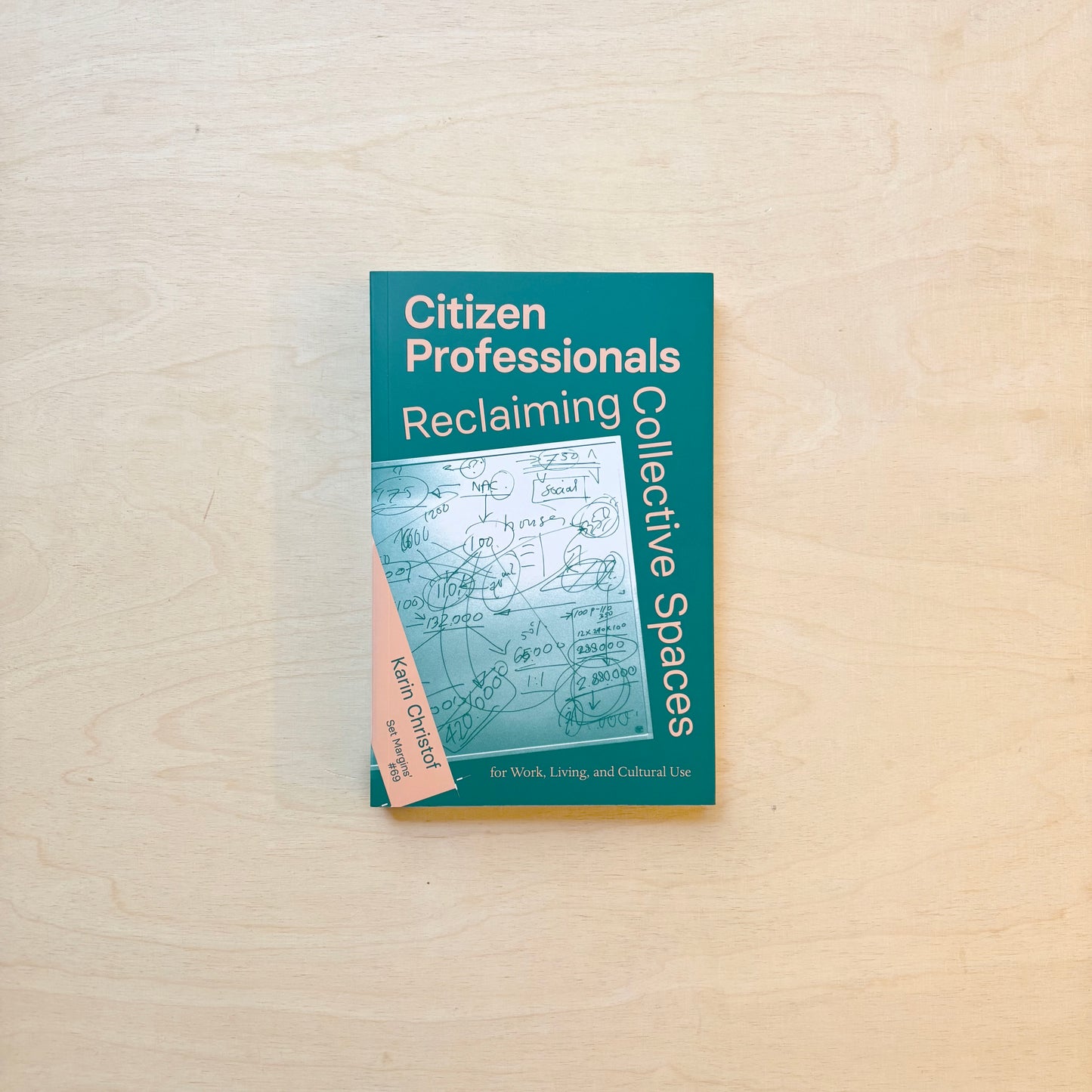 Citizen Professionals - Reclaiming Collective Spaces