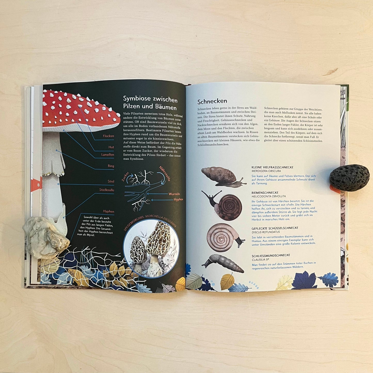 Das zweite Leben der Bäume