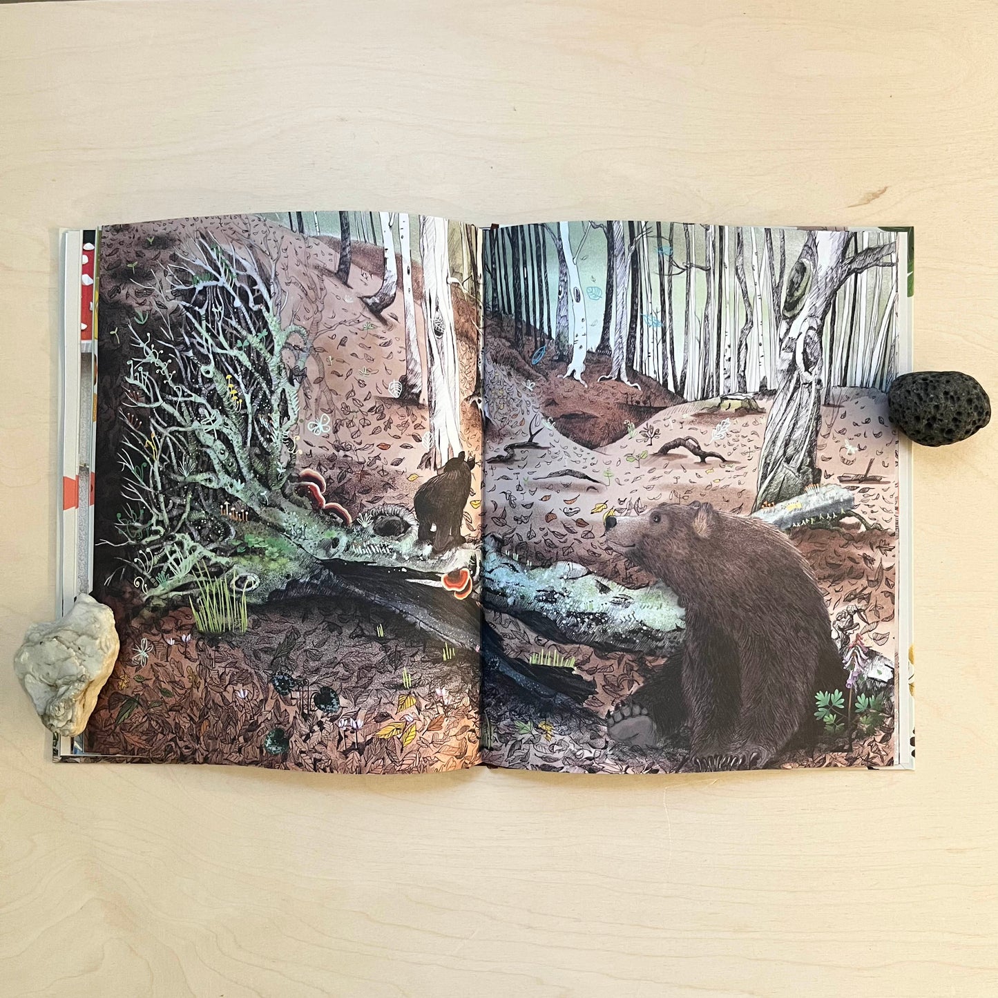 Das zweite Leben der Bäume