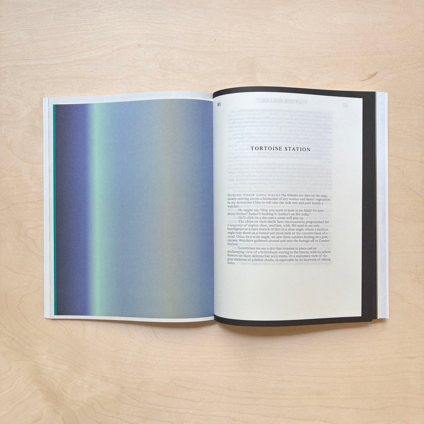 Emergence Magazine Vol. 6: Seasons