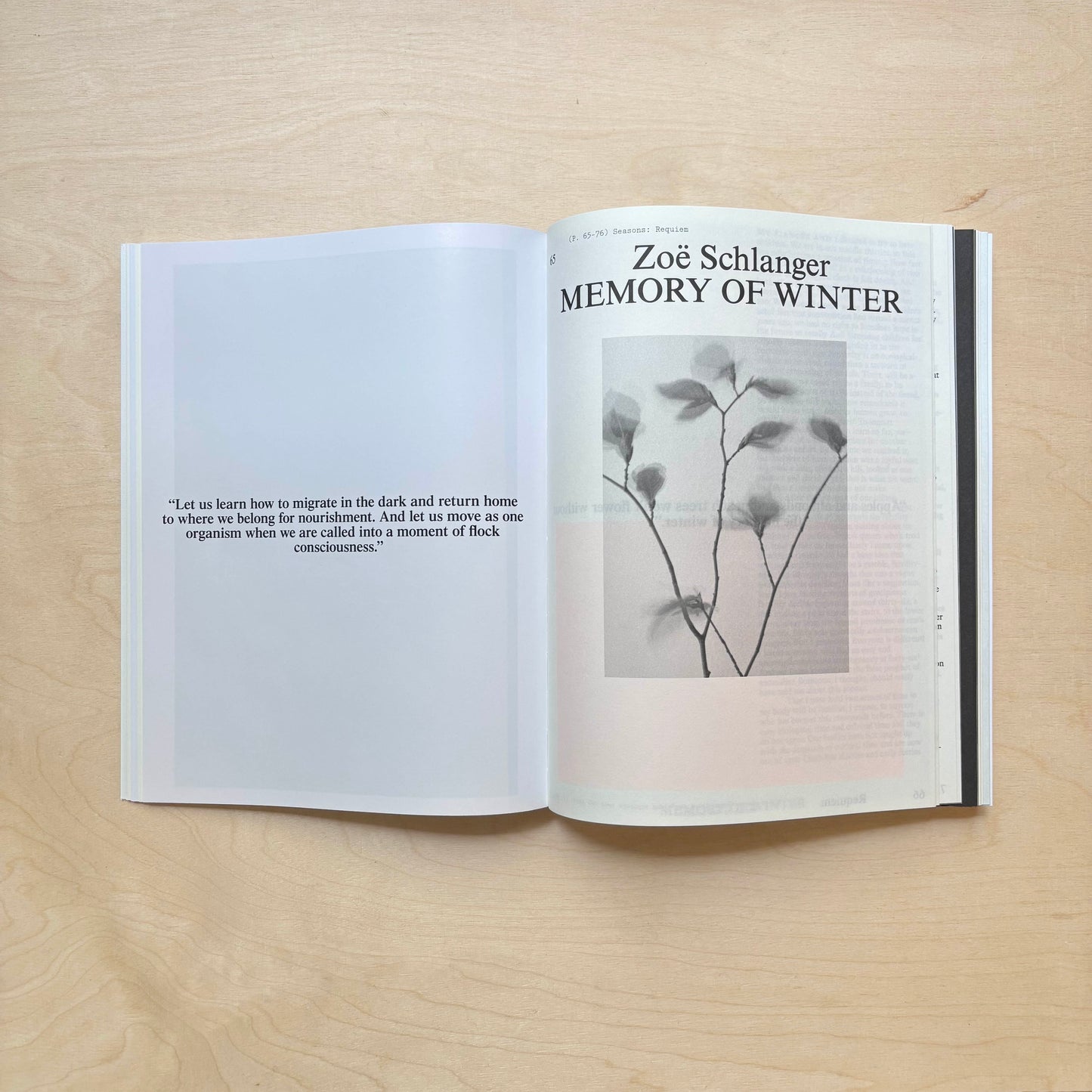 Emergence Magazine Vol. 6: Seasons