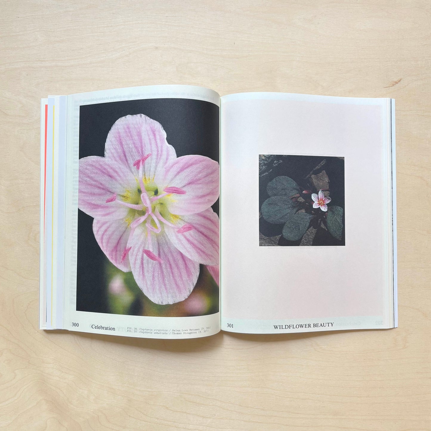 Emergence Magazine Vol. 6: Seasons