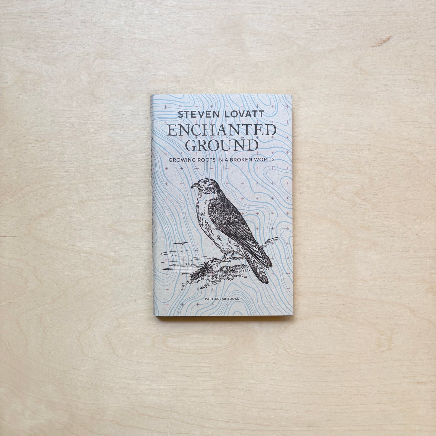 Enchanted Ground - Growing Roots in a Broken World