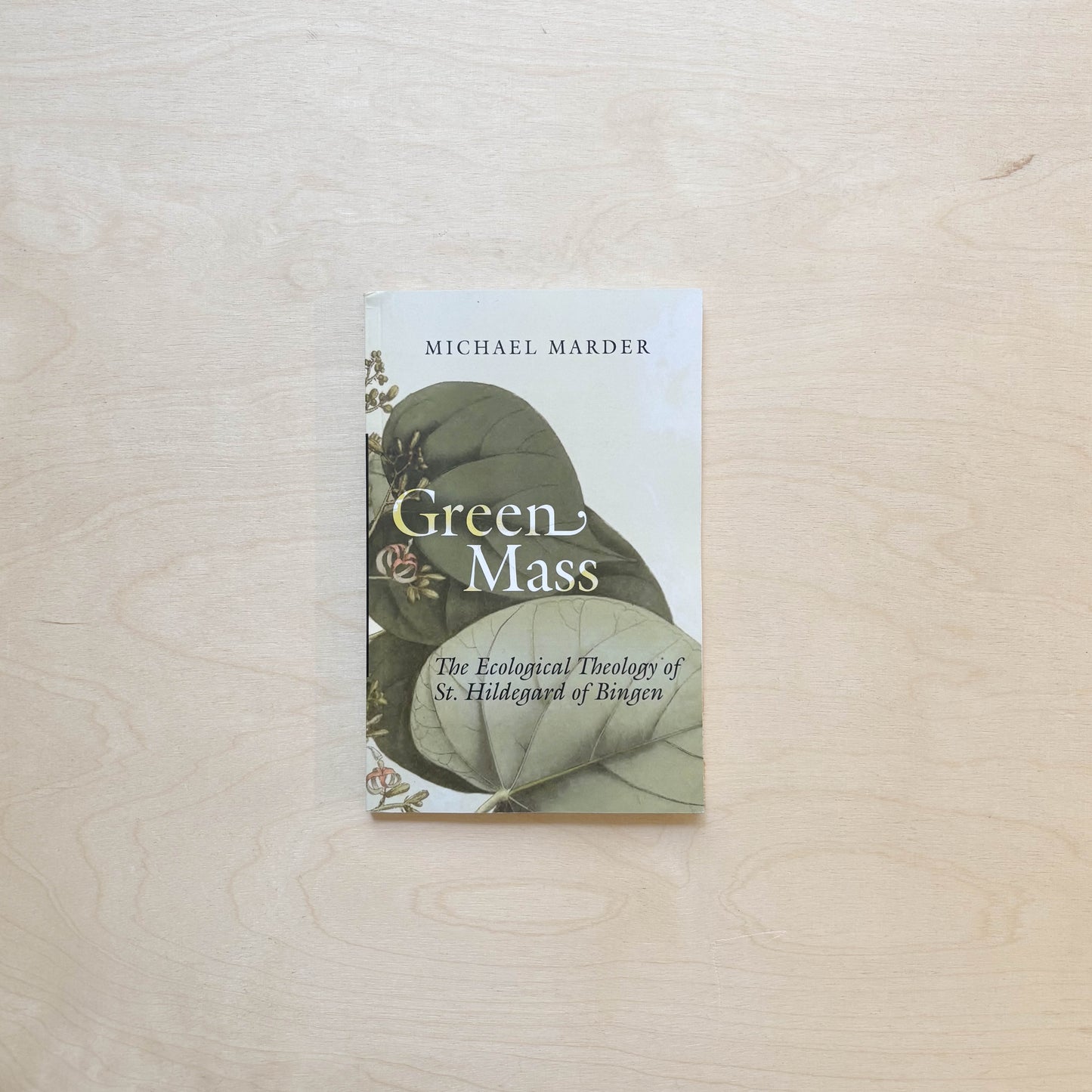 Green Mass - The Ecological Theology of St. Hildegard of Bingen