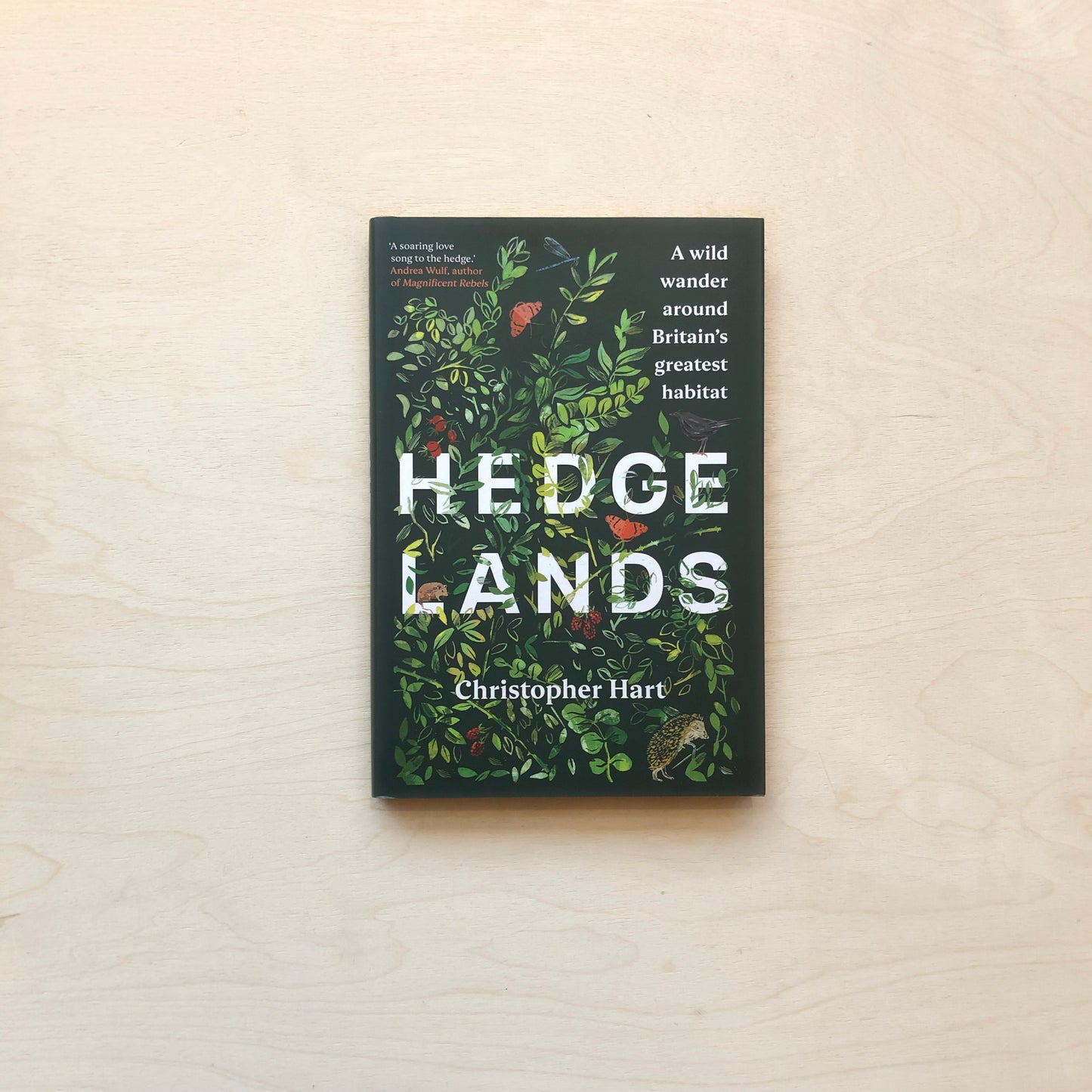 Hedgelands: A wild wander around Britain’s greatest habitat