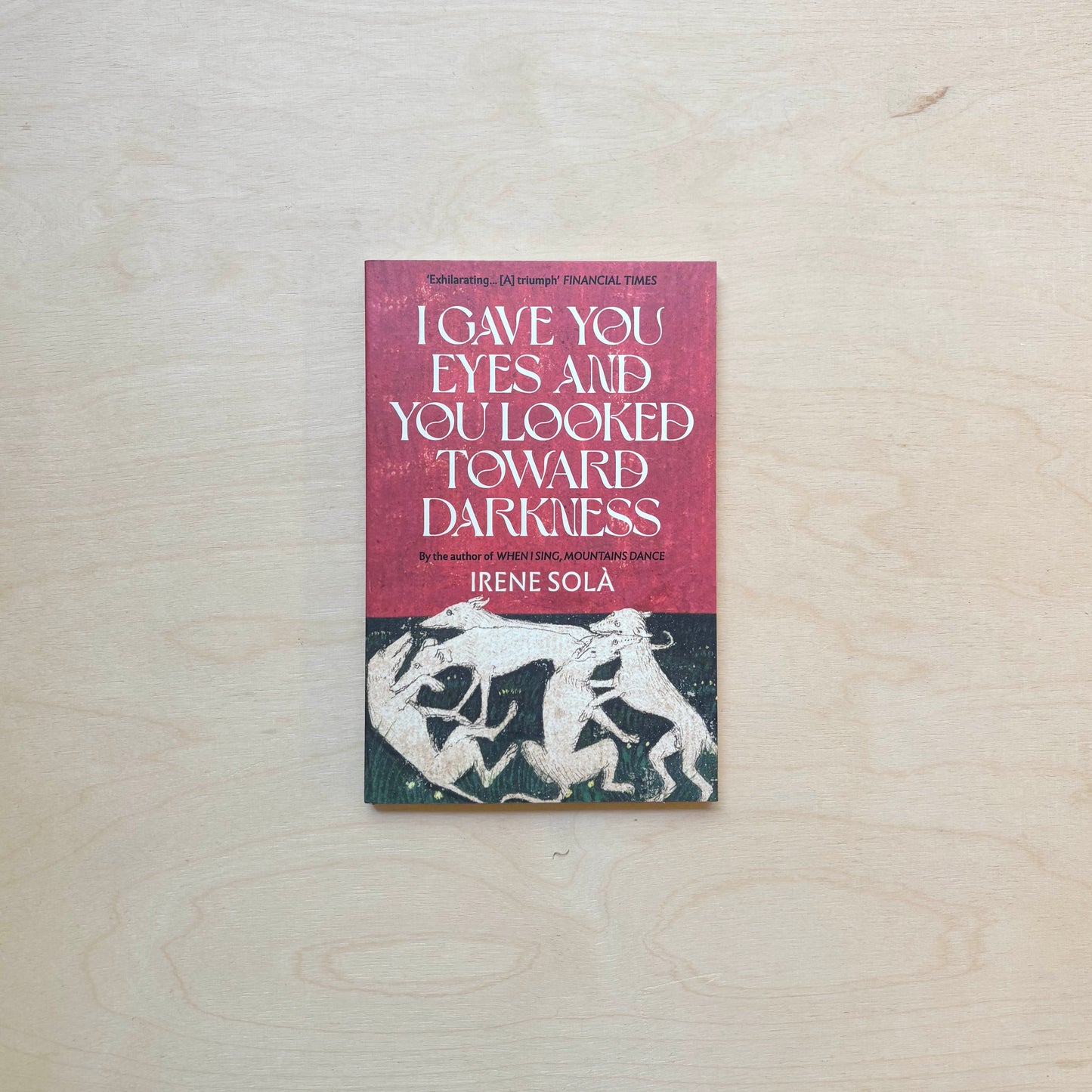 I Gave You Eyes and You Looked Toward Darkness - Paperback