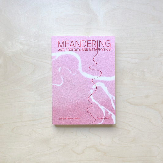 Meandering - Art, Ecology, and Metaphysics