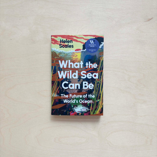 What the Wild Sea Can Be - The Future of the World’s Ocean - Paperback