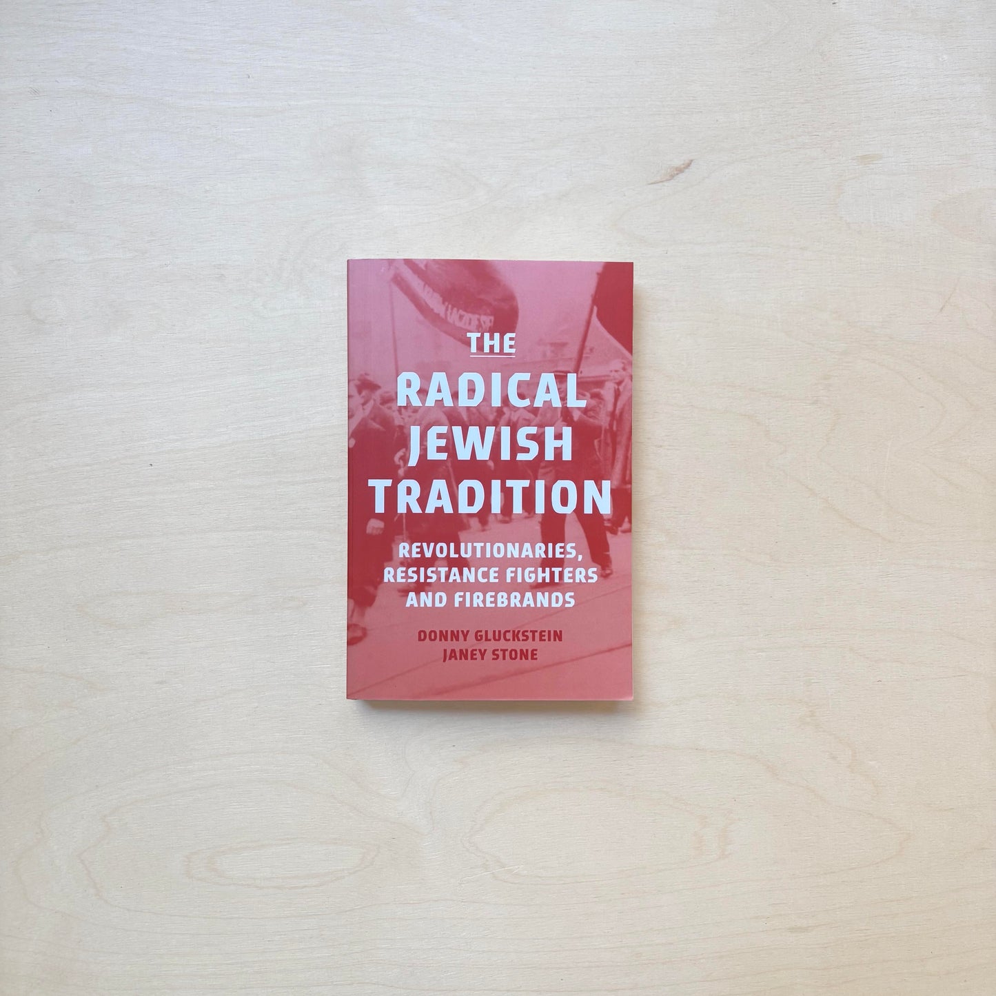 The Radical Jewish Tradition - Revolutionaries, Resistance Fighters and Firebrands