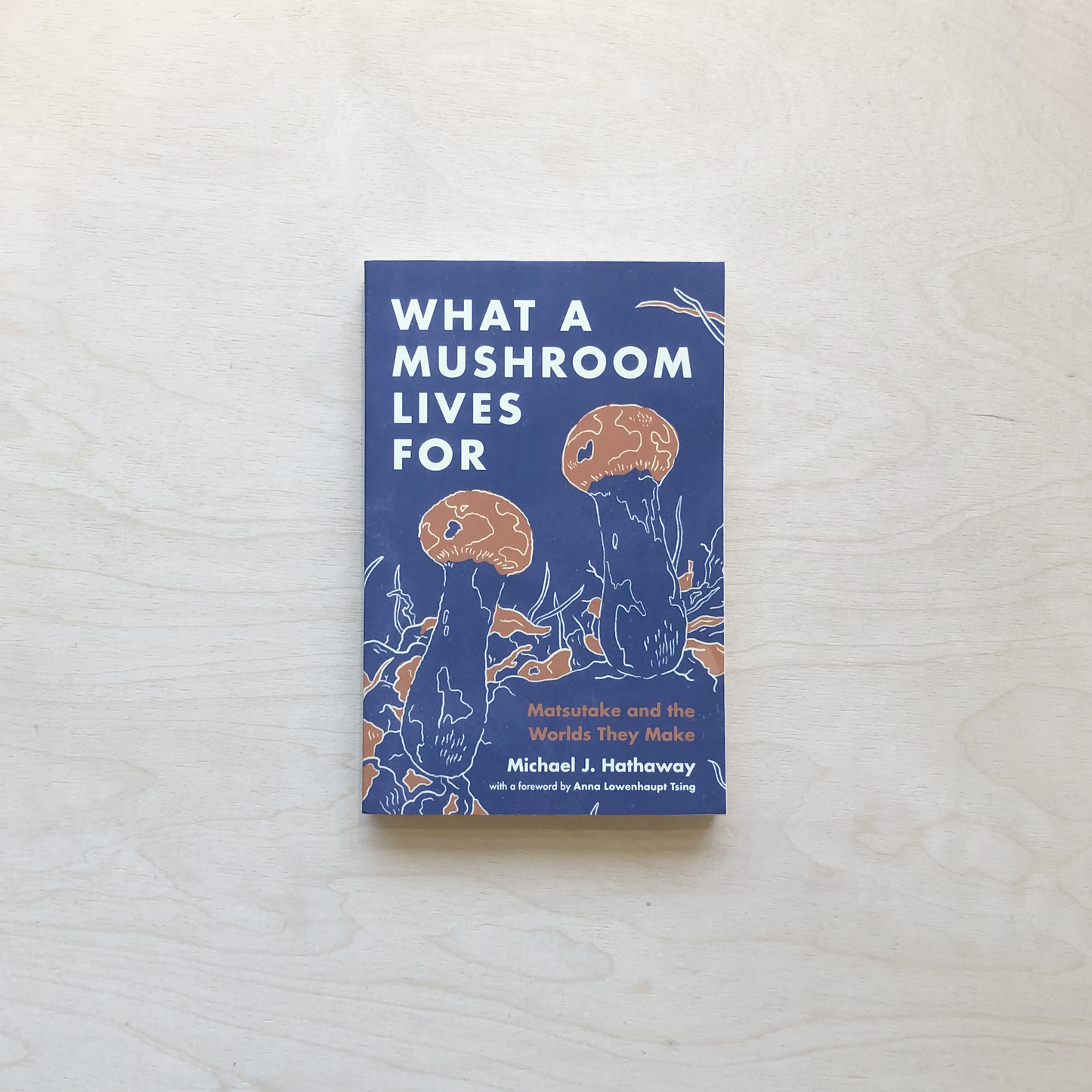 What a Mushroom Lives For - Paperback