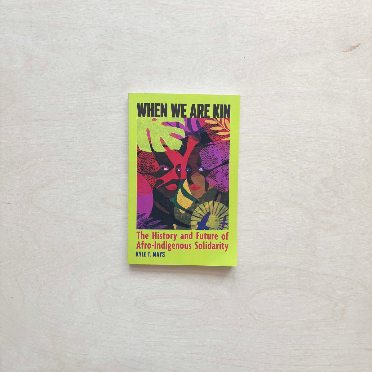 When We Are Kin - The History and Future of Afro-Indigenous Solidarity