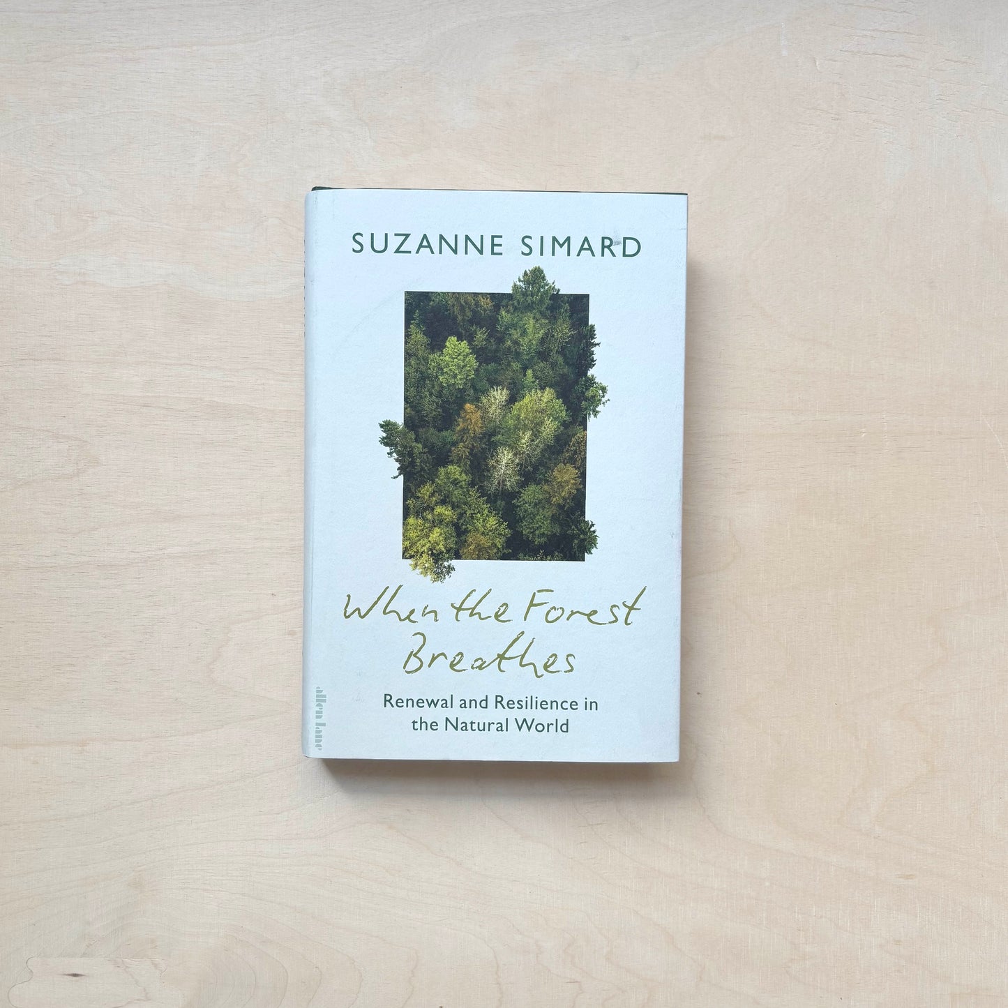 When the Forest Breathes - Renewal and Resilience in the Natural World