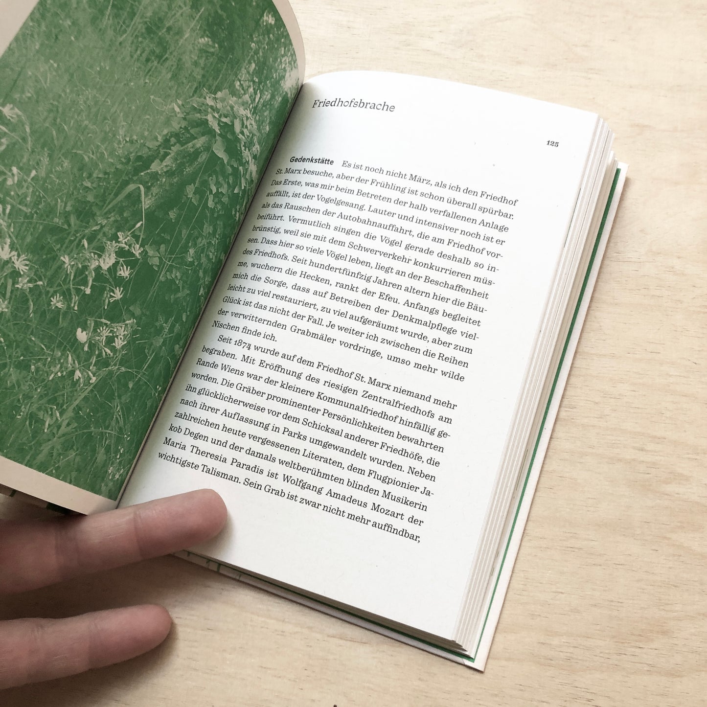 Acker, Baulücke, Deponie - Ein Brachenatlas