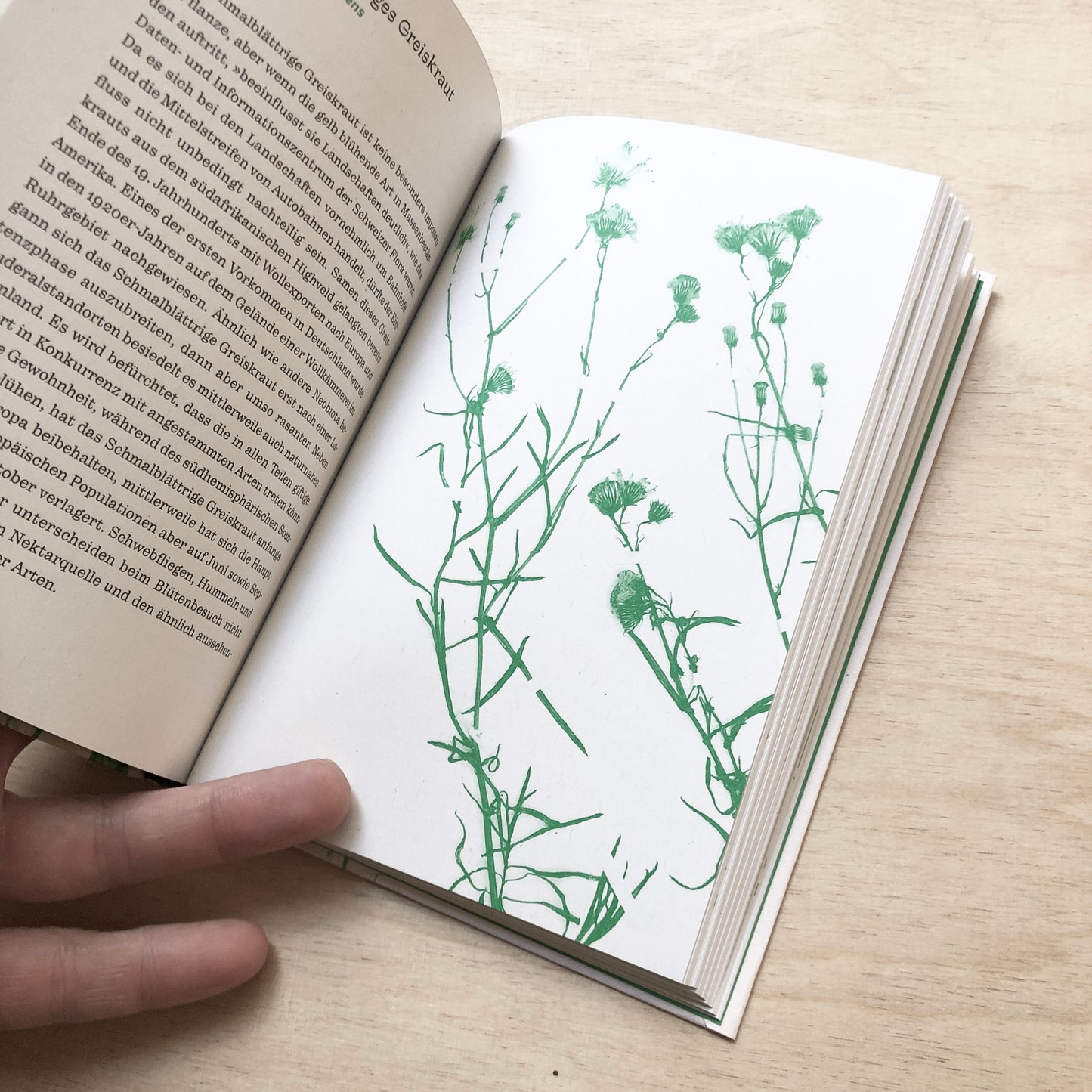 Acker, Baulücke, Deponie - Ein Brachenatlas