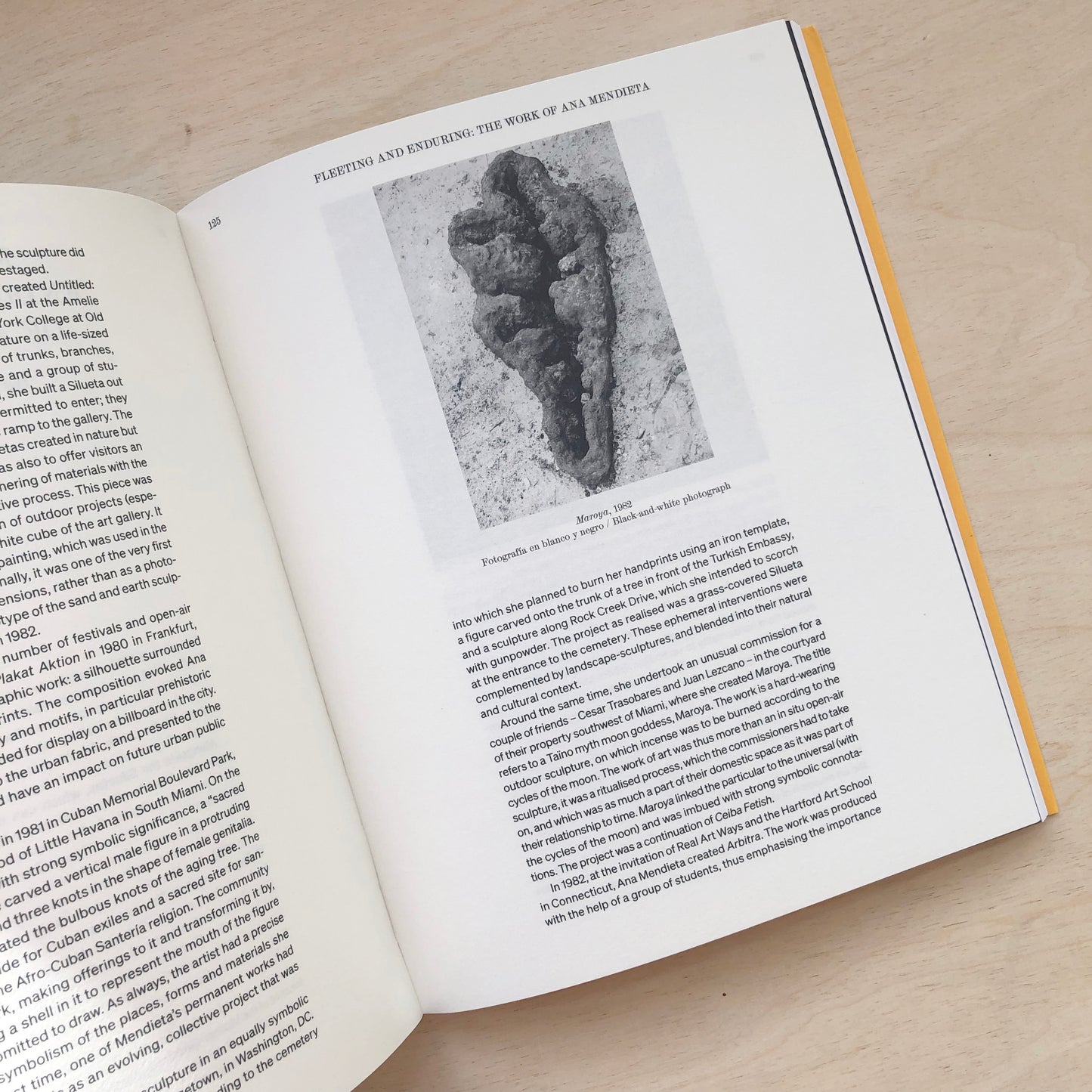 Ana Mendieta - Search for Origin - english & spanish edition