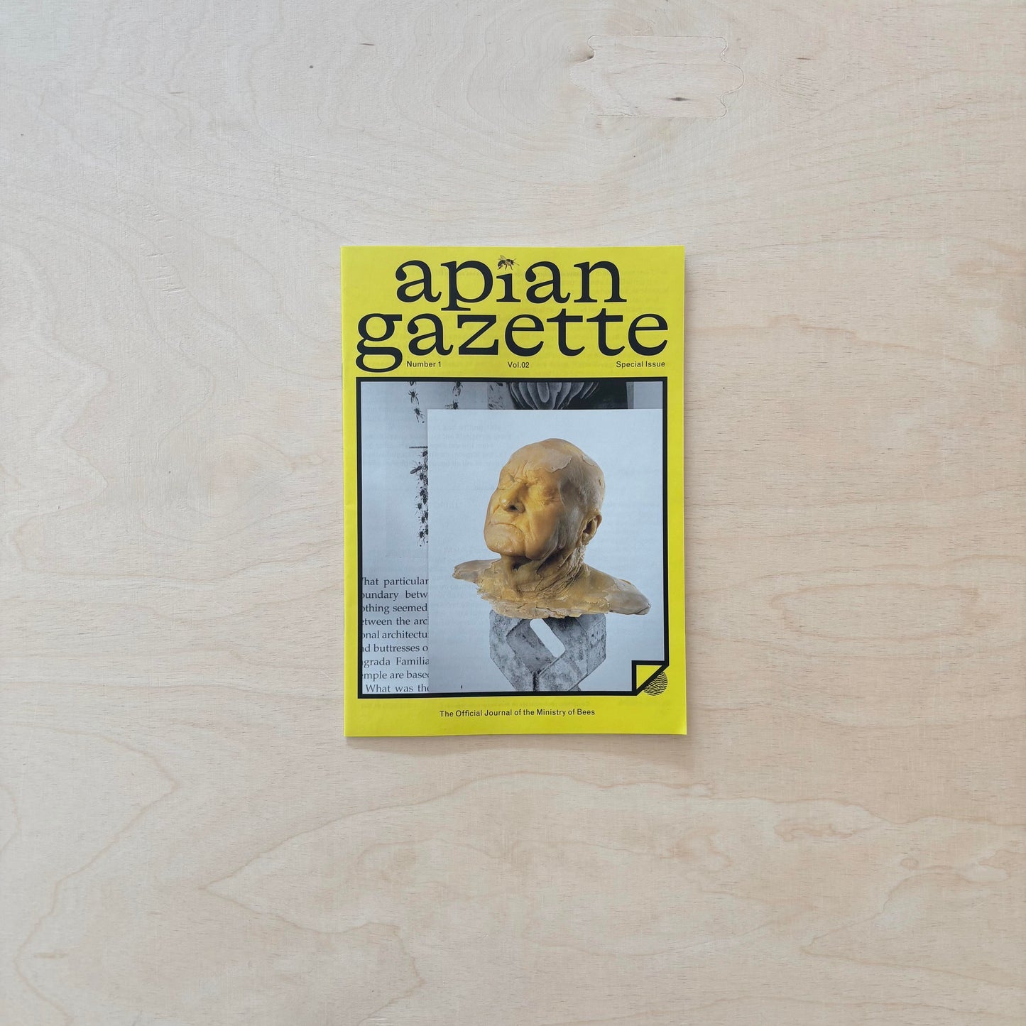 Apian Gazette - Vol. 02  - Special Issue
