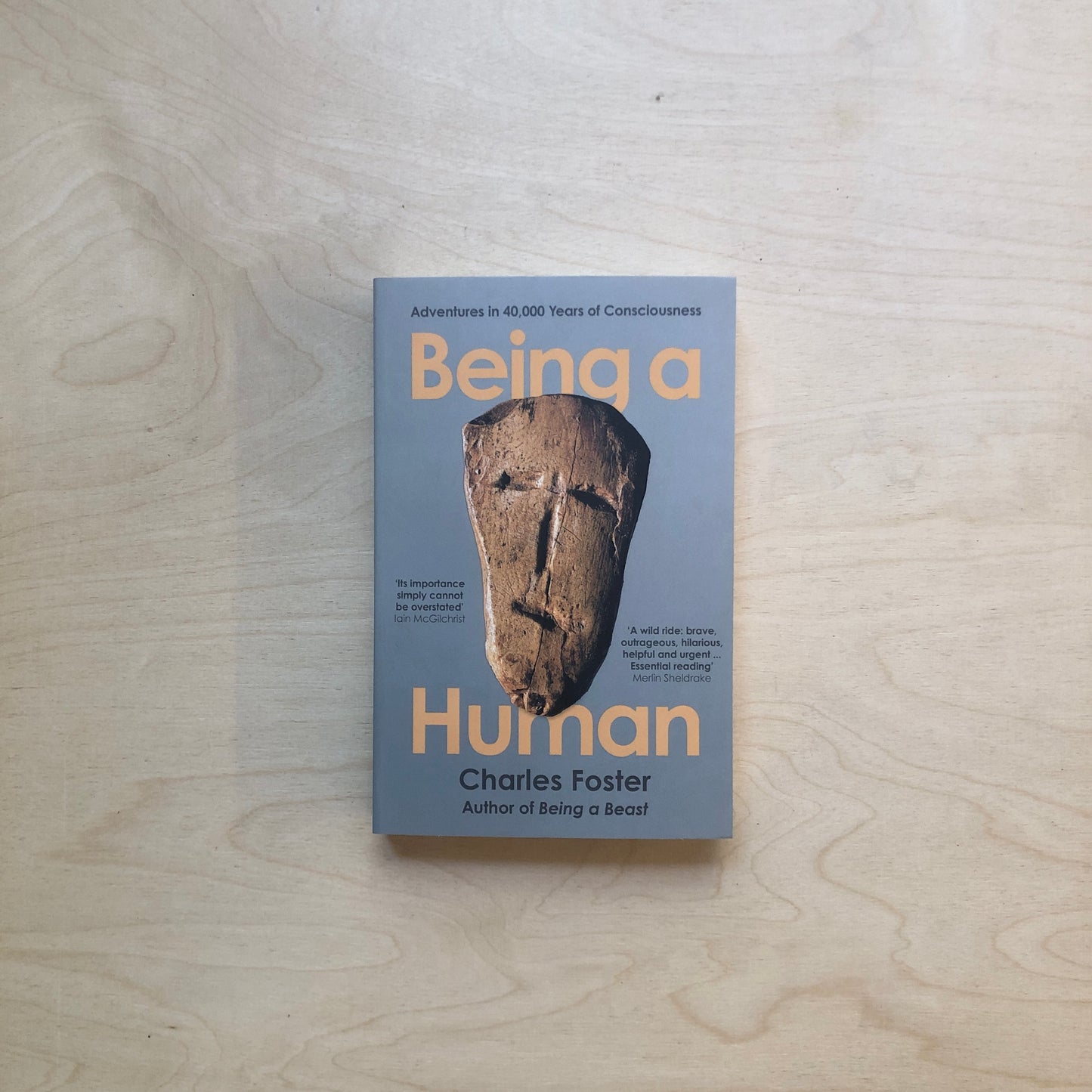 Being a Human - Adventures in 40,000 Years of Consciousness - Paperback