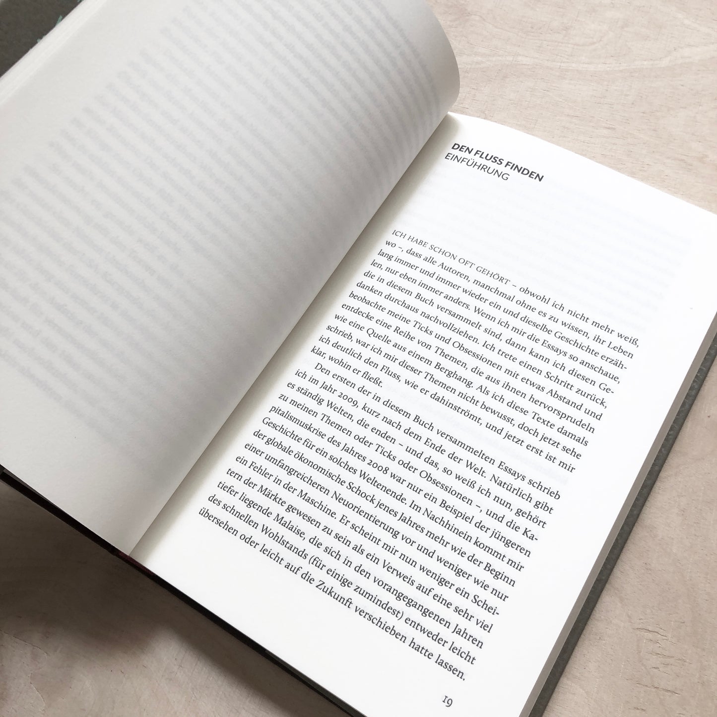 Bekenntnisse eines genesenden Umweltschützers - Essays
