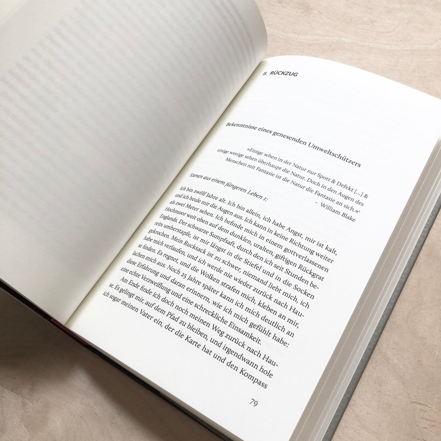 Bekenntnisse eines genesenden Umweltschützers - Essays
