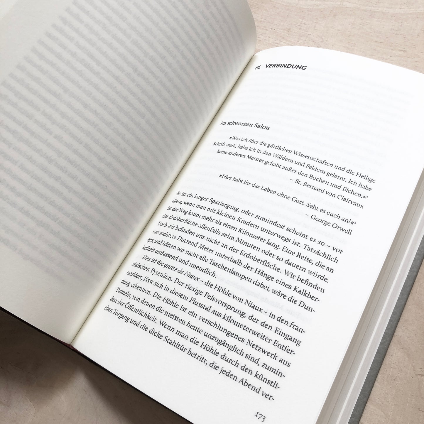 Bekenntnisse eines genesenden Umweltschützers - Essays