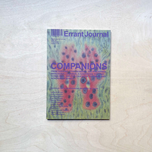Errant Journal #9 - Companions