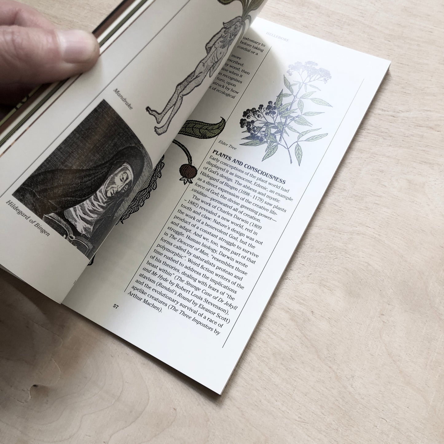 Hellebore #15: The Green Issue