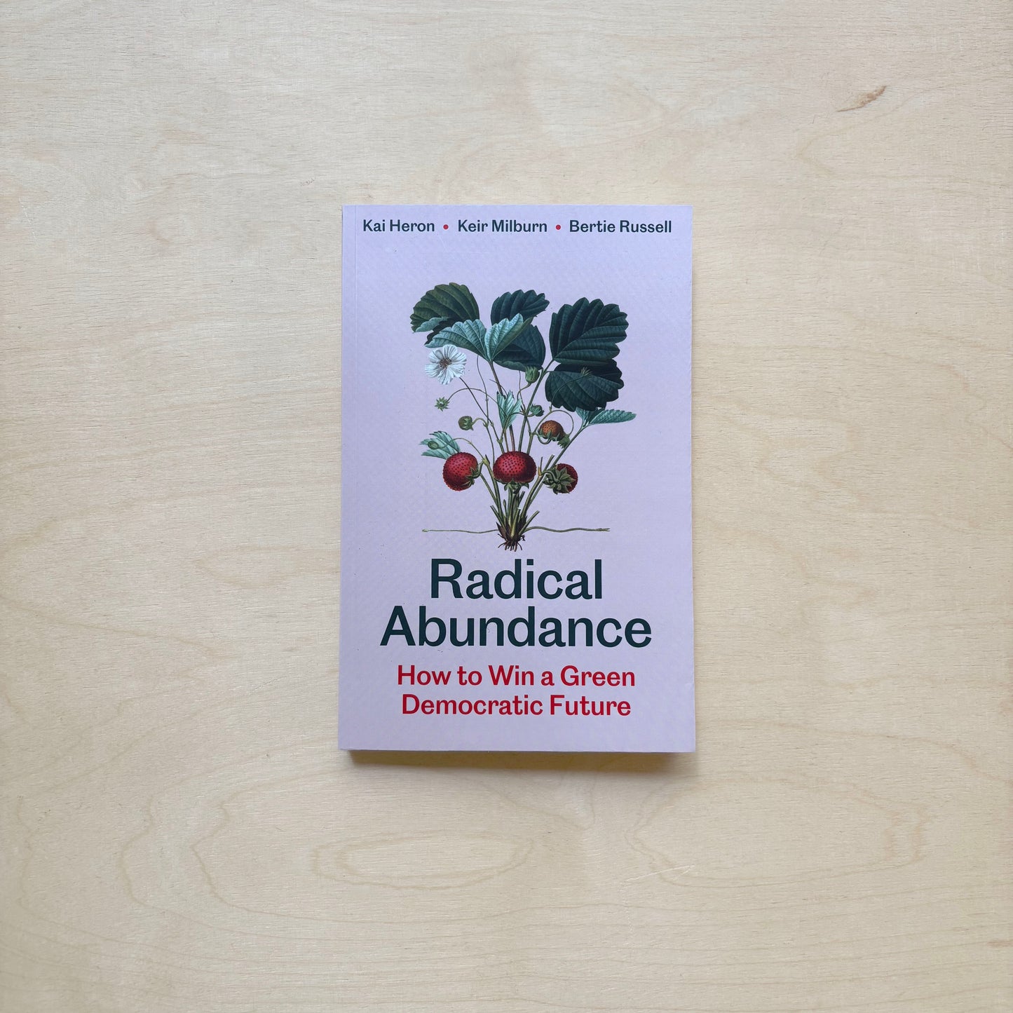 Radical Abundance: How to Win a Green Democratic Future