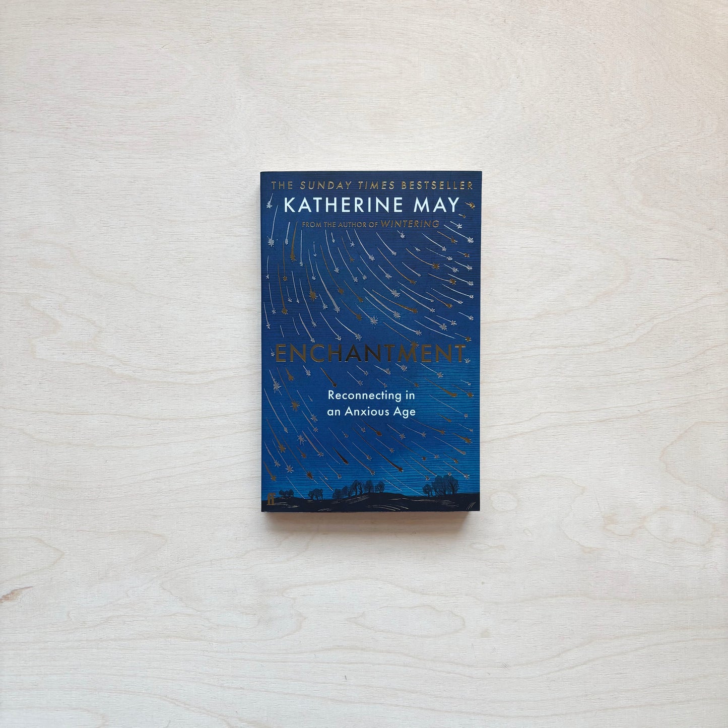 Enchantment - Reawakening Wonder in an Exhausted Age - Faber Paperback