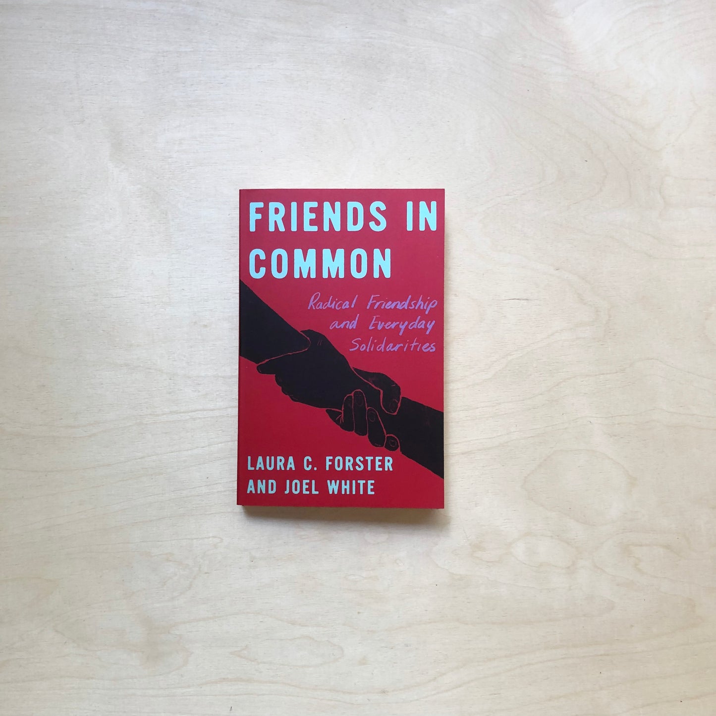 Friends in Common - Radical Friendship and Everyday Solidarities