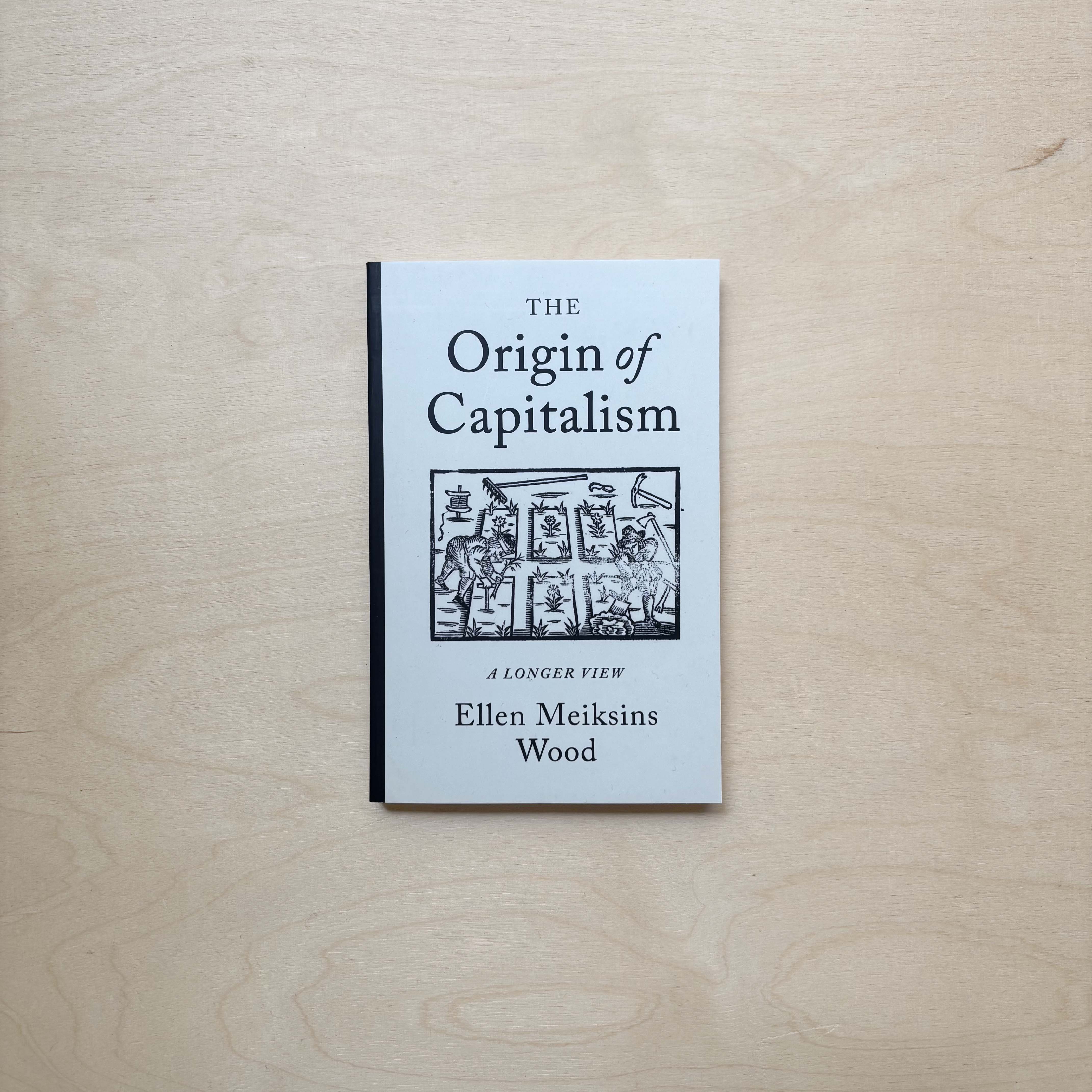 The Origin of Capitalism: A Longer View – Zabriskie Buchladen für