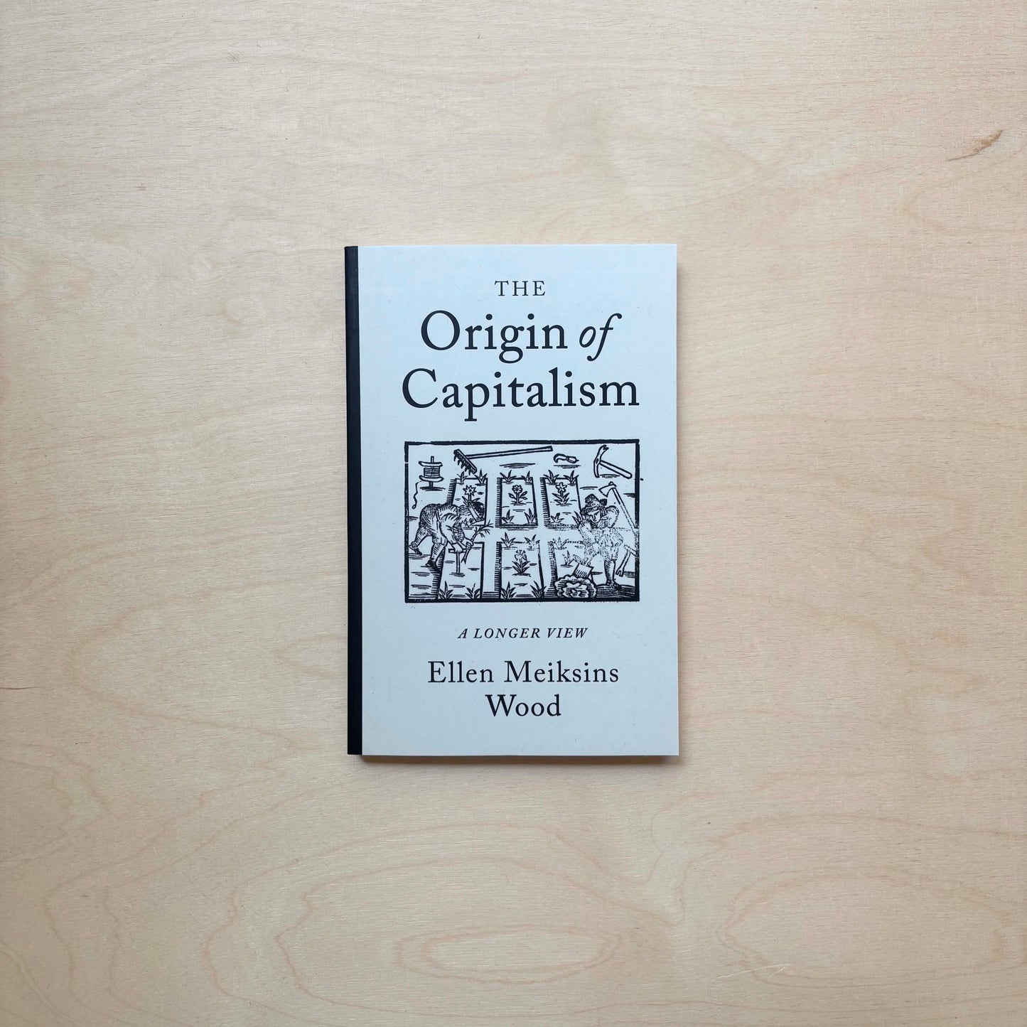 The Origin of Capitalism: A Longer View