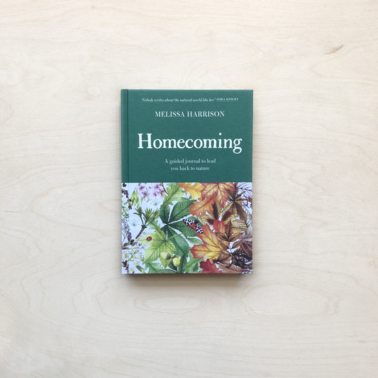 Homecoming: A Guided Journal to Lead You Back to Nature