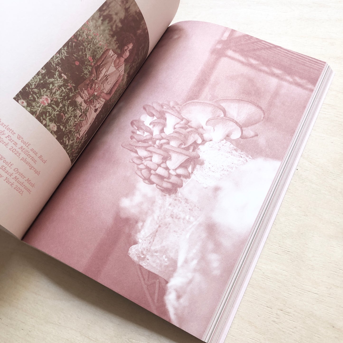 Queer Flora, Fauna, and Funga
