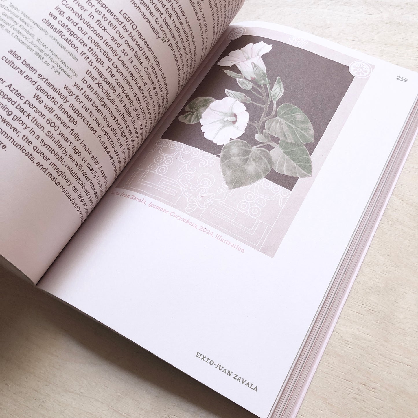 Queer Flora, Fauna, and Funga