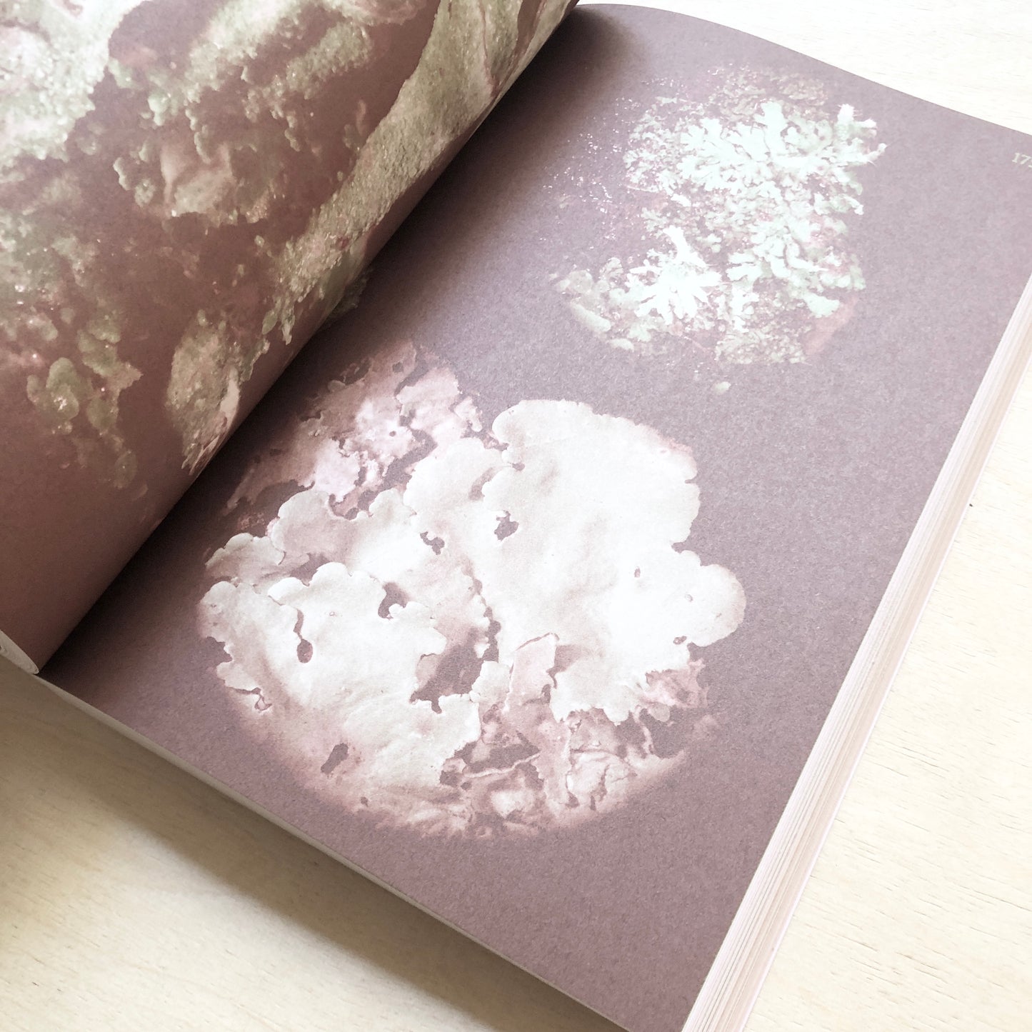 Queer Flora, Fauna, and Funga