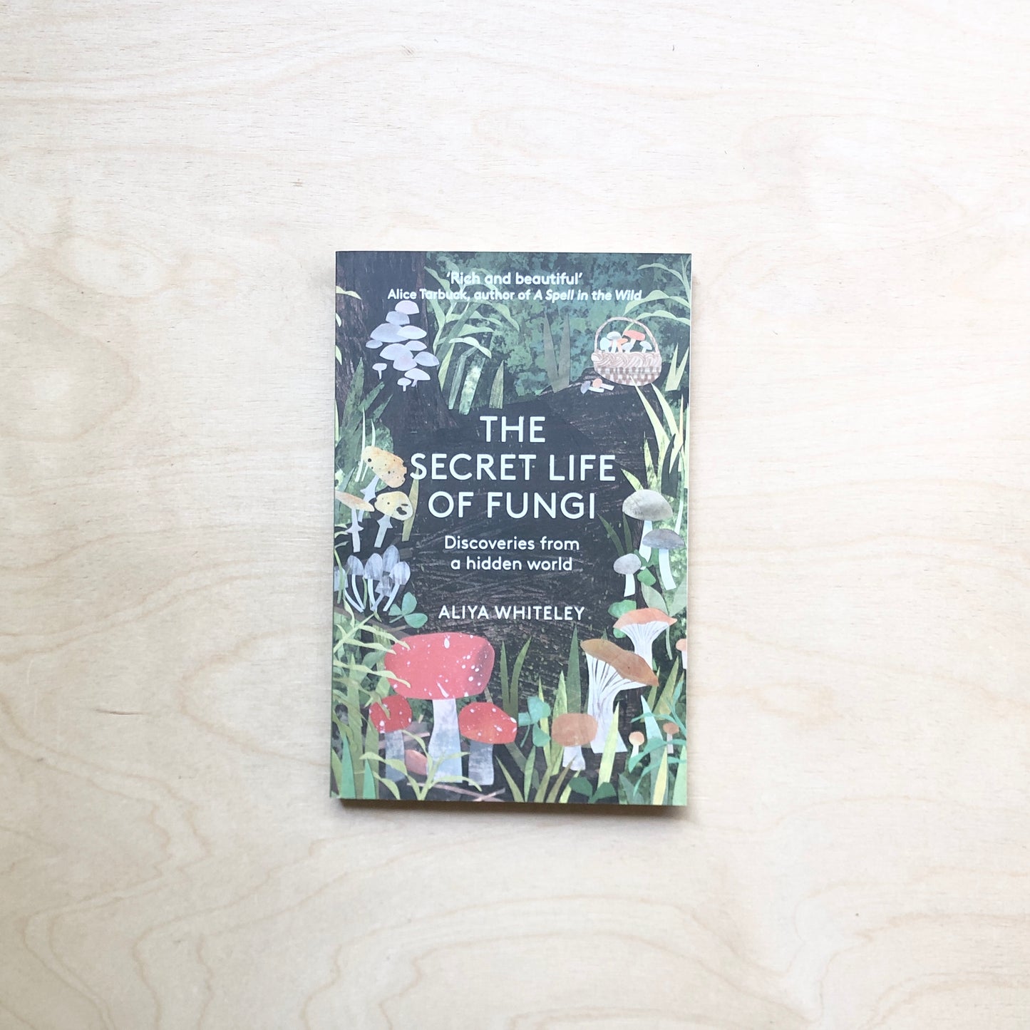 The Secret Life of Fungi - Discoveries From a Hidden World - Paperback