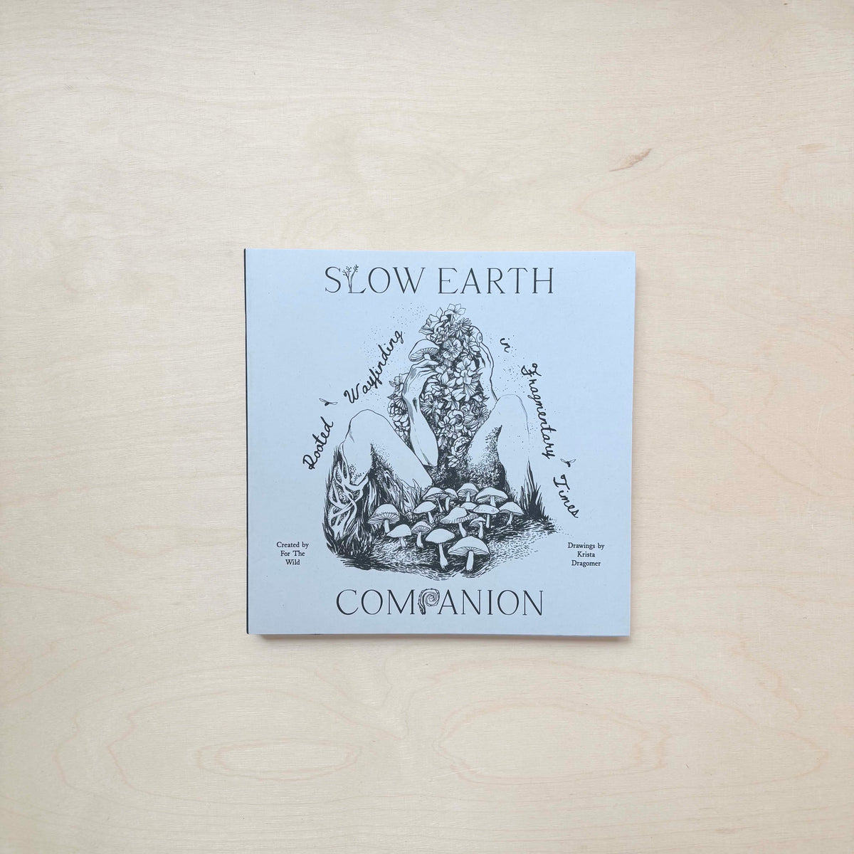 Slow Earth Companion - Rooted Wayfinding in Fragmentary times