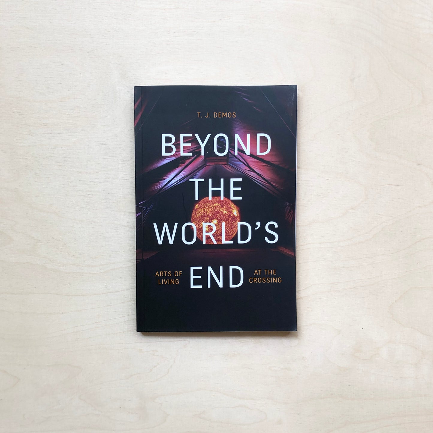 Beyond the World's End. Arts of Living at the Crossing