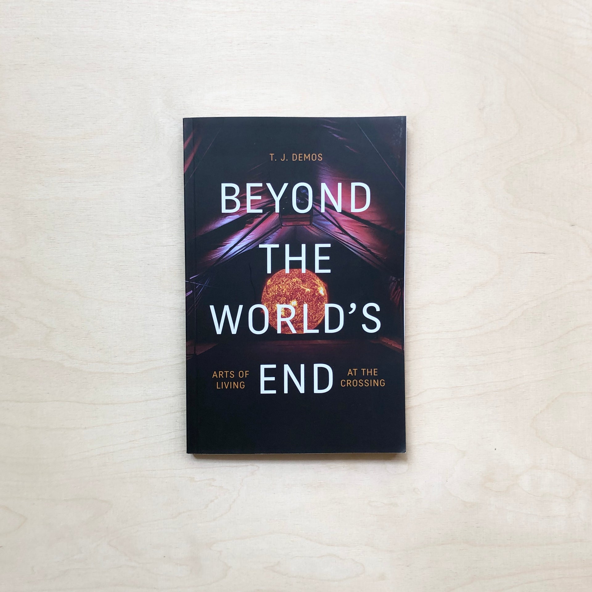 Beyond the World′s End - T.J. Demos