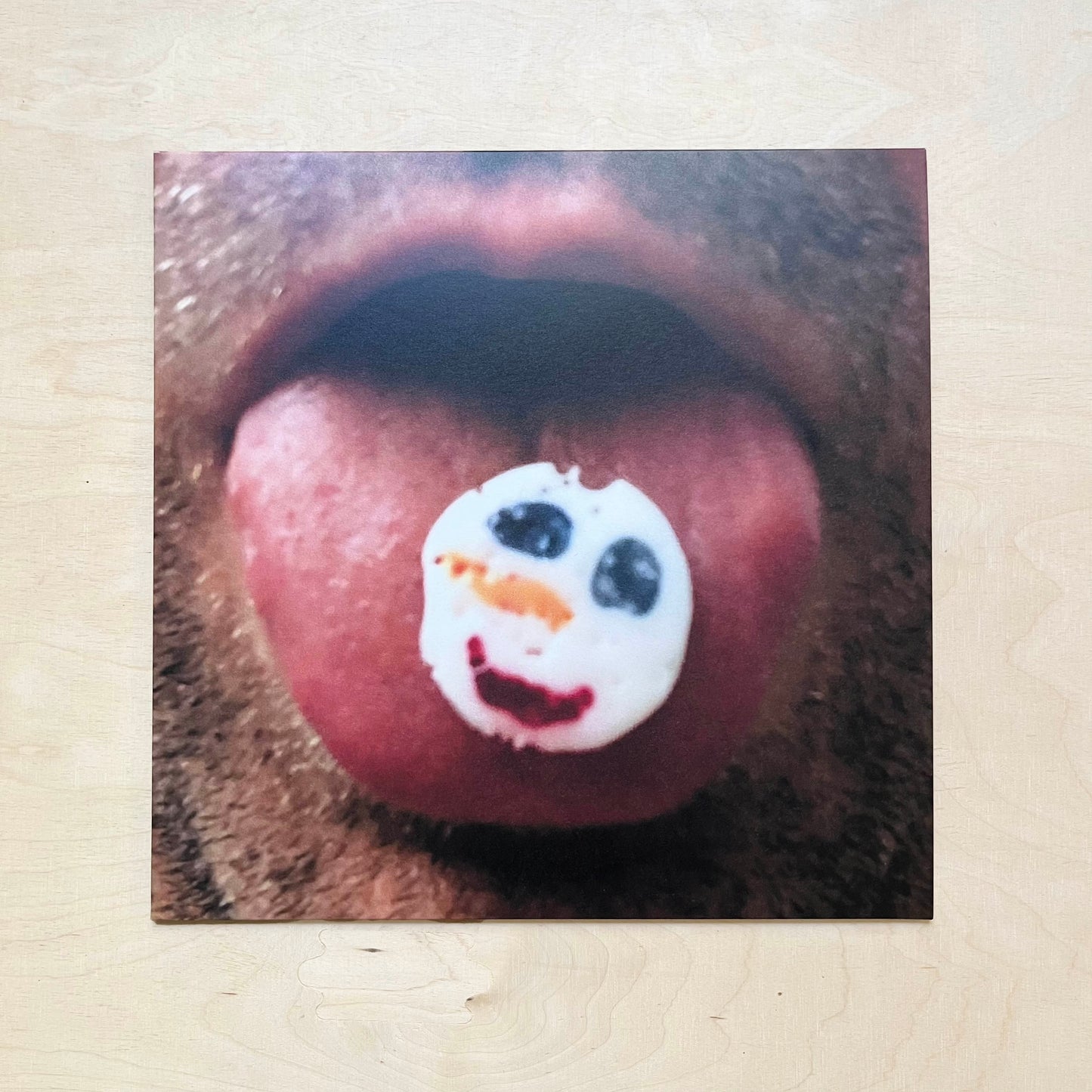 Travelling at the Speed of Time - Vinyl LP