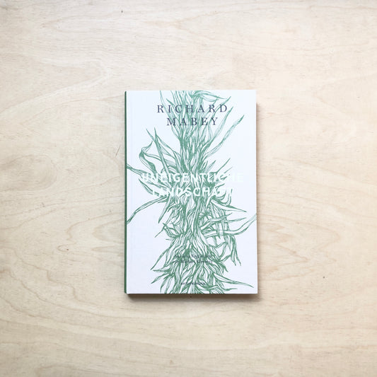 Uneigentliche Landschaft