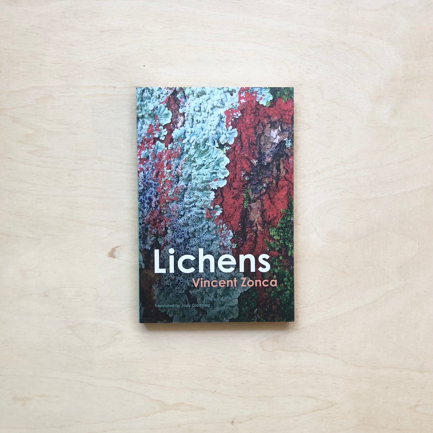 Lichens - Toward a Minimal Resistance