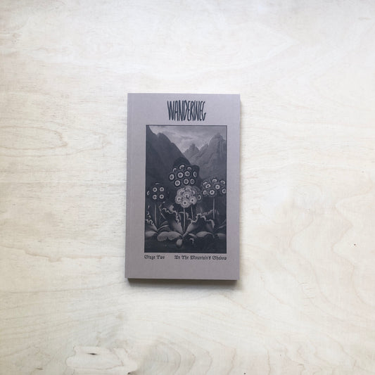 Wanderweg - Issue 2 - In The Mountain's Shadow - Im Schatten der Berge