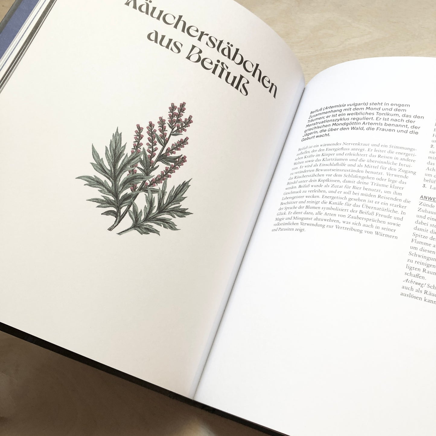 Wilde Alchemie - Ein astro-botanischer Leitfaden zu Magie, Mythen und Heilkraft von Pflanzen