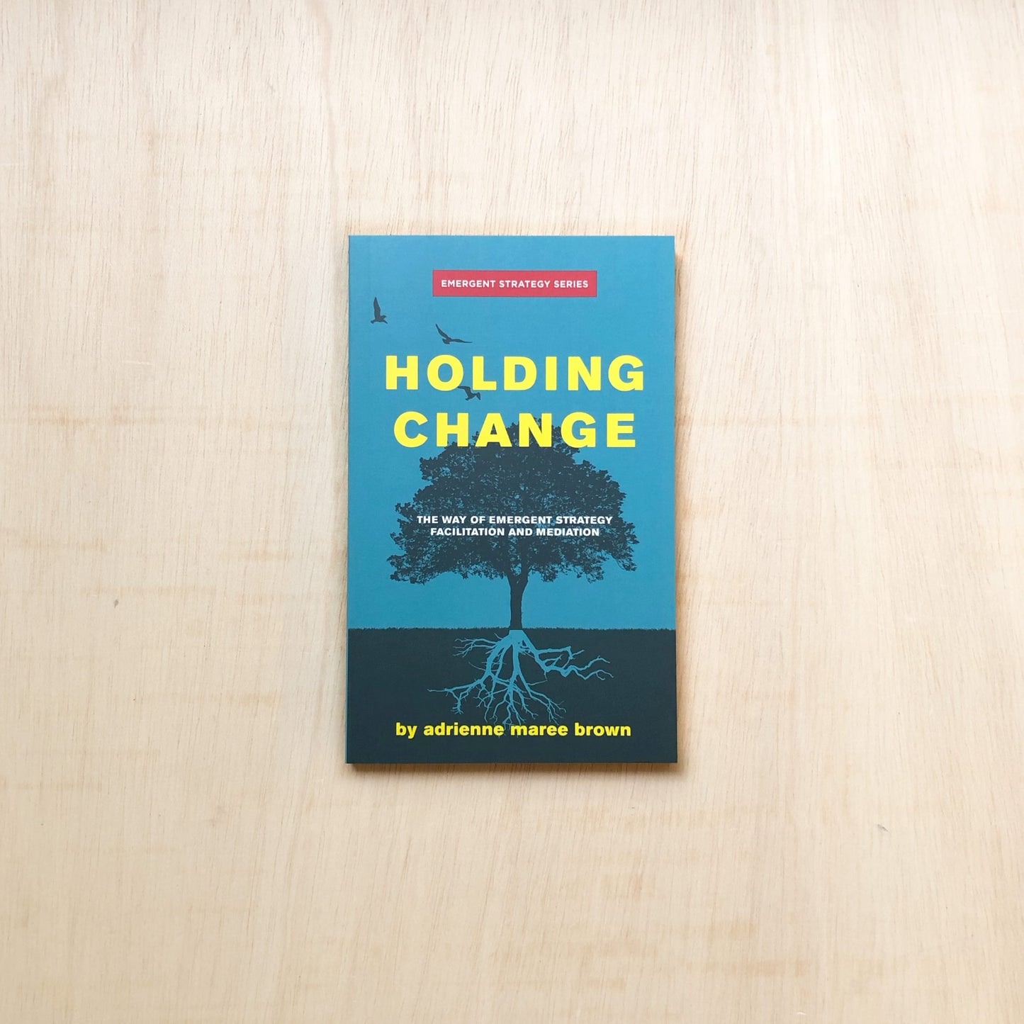 Holding Change - The Way of Emergent Strategy Facilitation and M