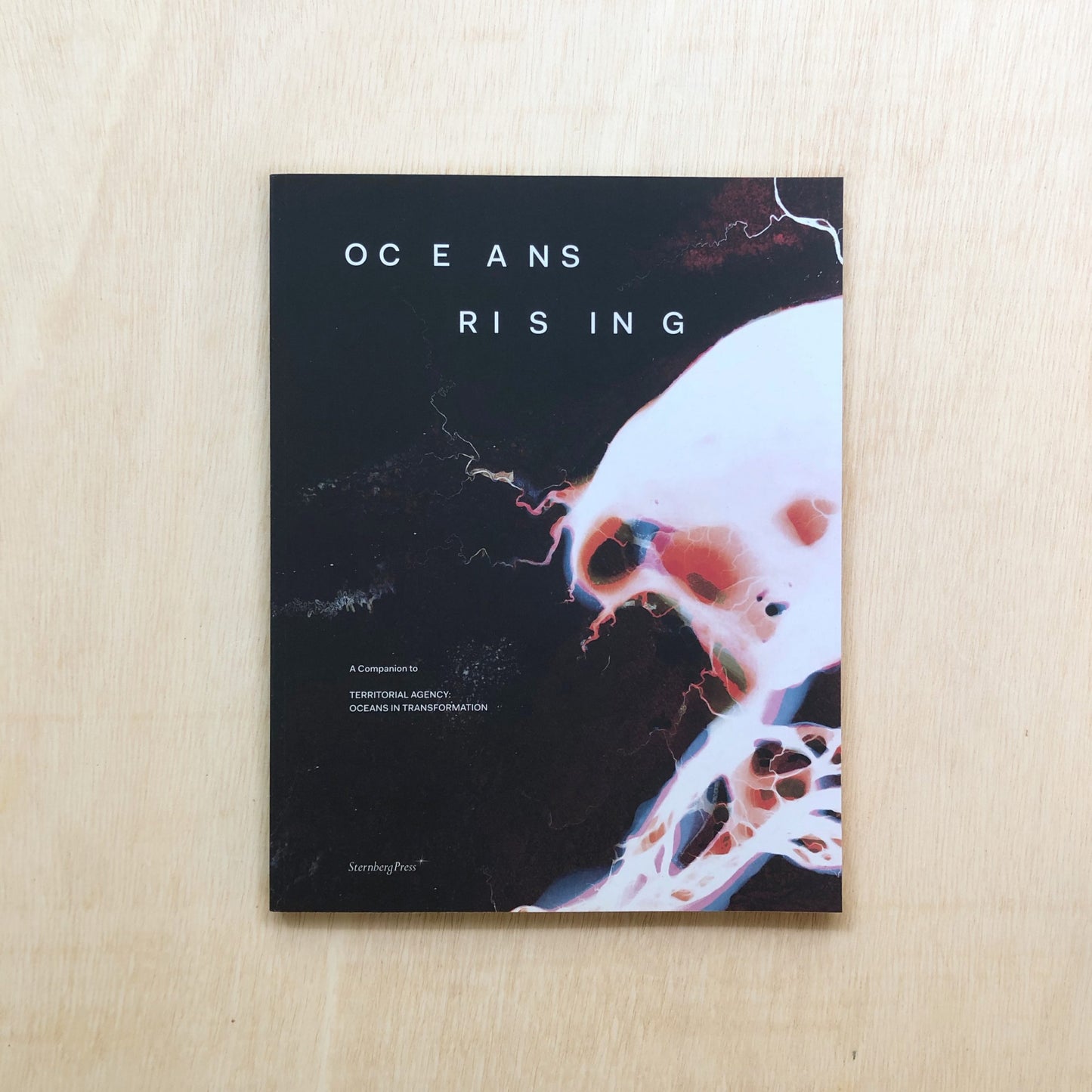 Oceans Rising - A Companion to “Territorial Agency: Oceans in
