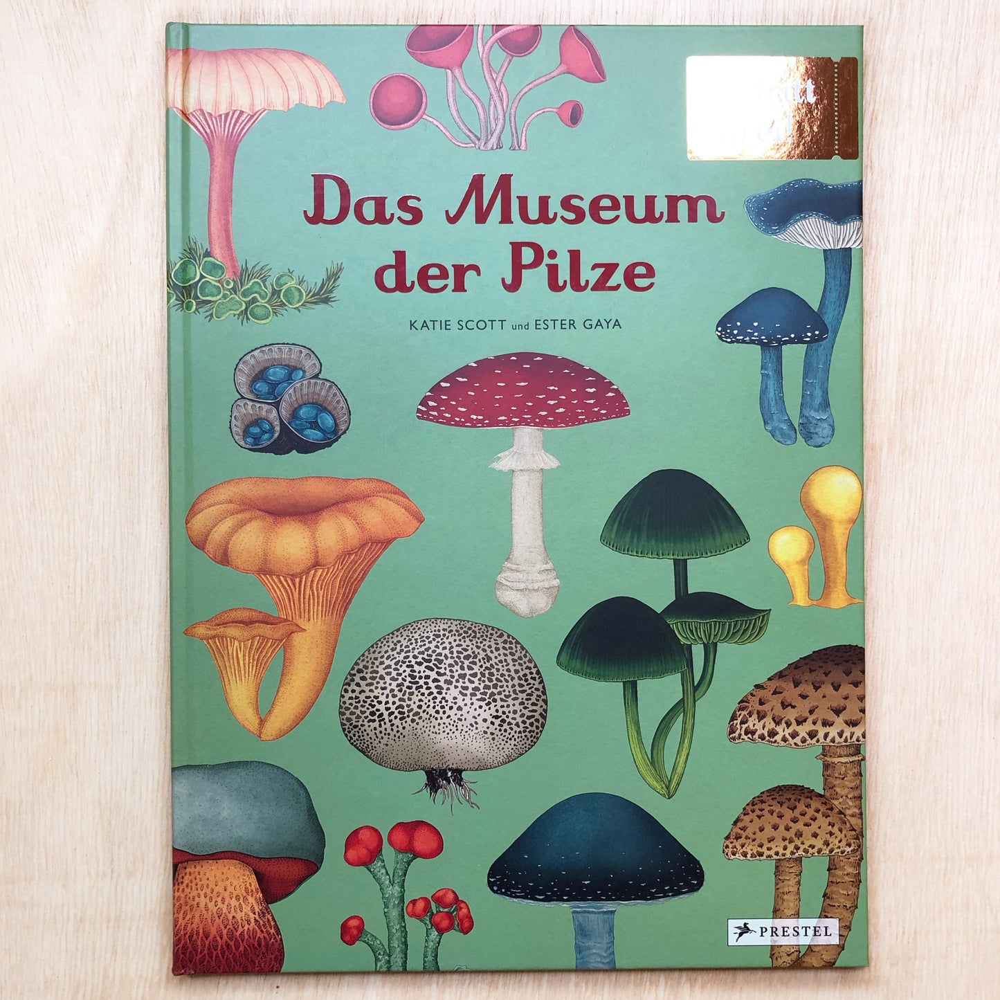 Das Museum der Pilze