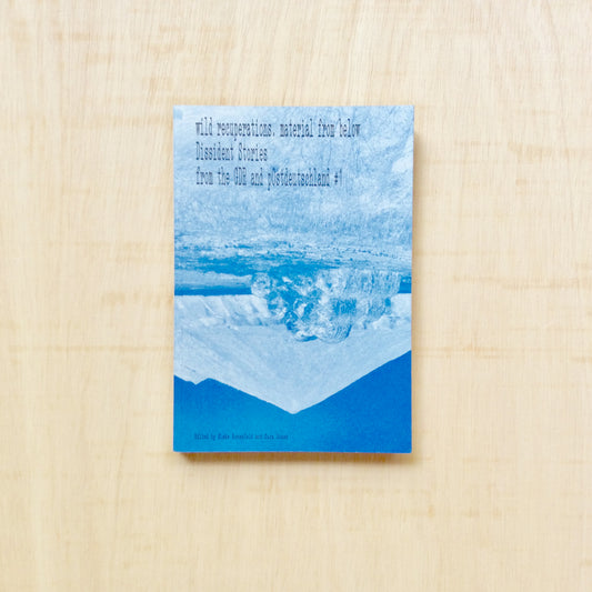 wildes wiederholen - Dissidente Geschichten zwischen DDR und pOs