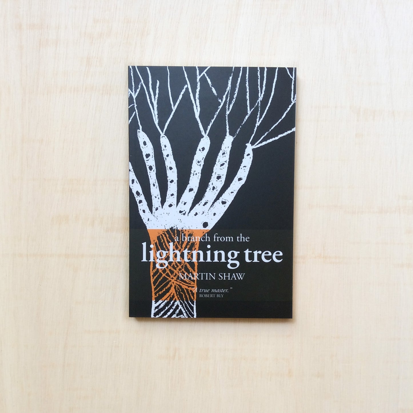 A Branch from the Lightning Tree