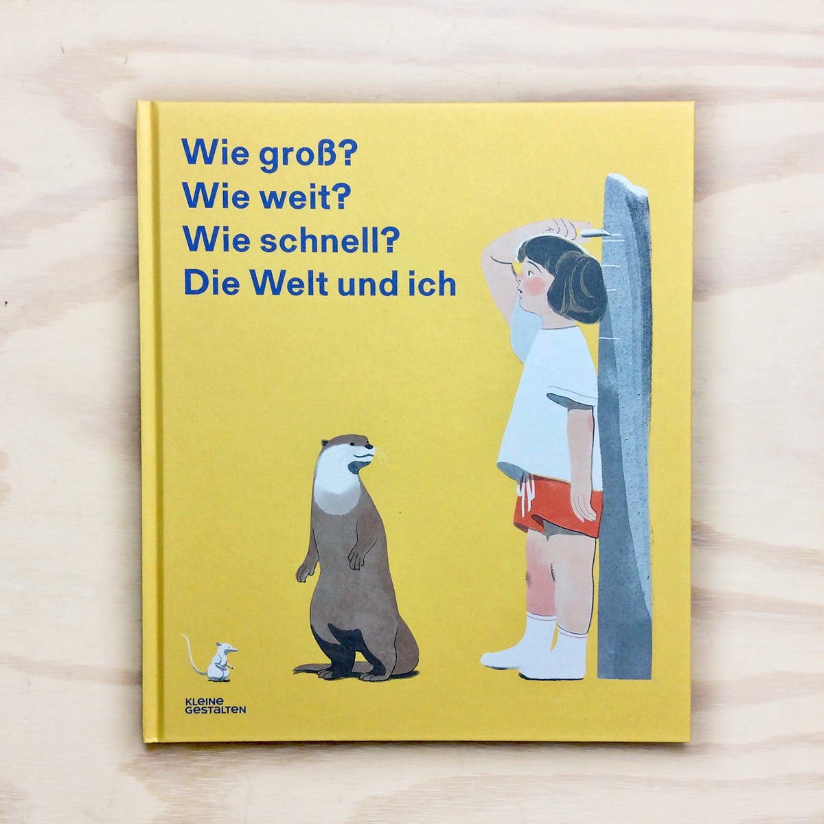 Wie groß, wie weit, wie schnell? Die Welt und ich